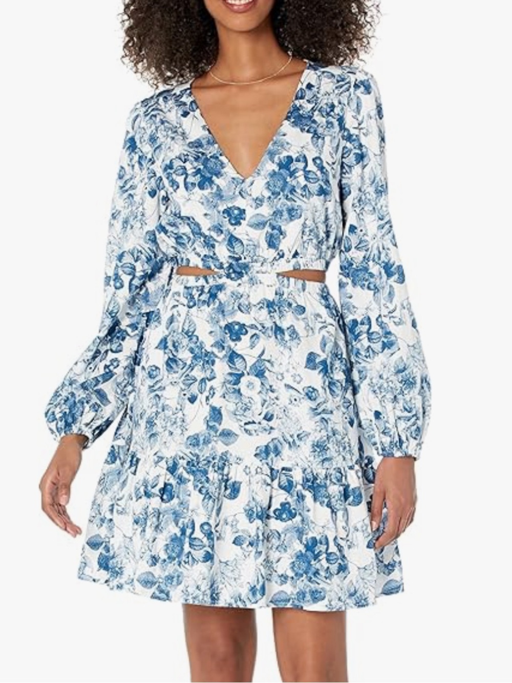 Floral V-Neck Long Sleeve Mini Dress - Blue/White